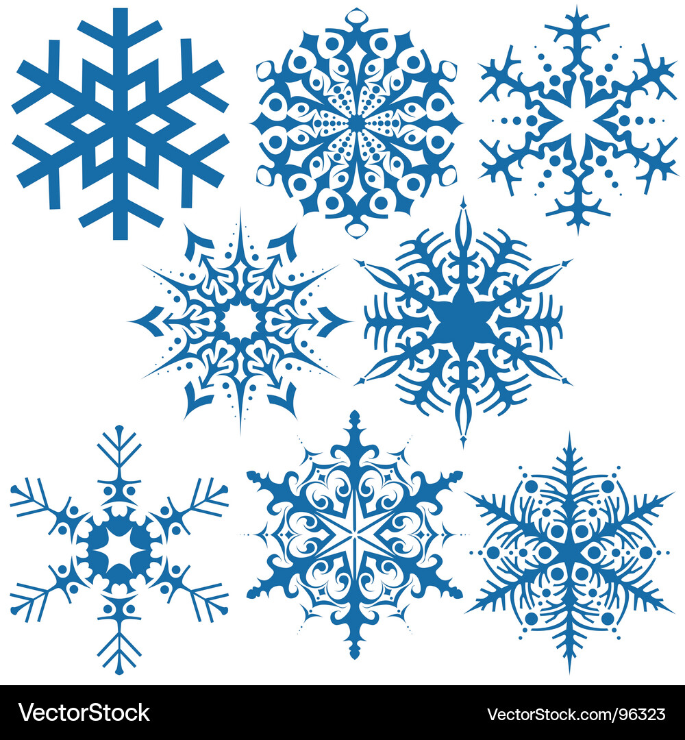 Winter Snowflake Pattern Vector Image