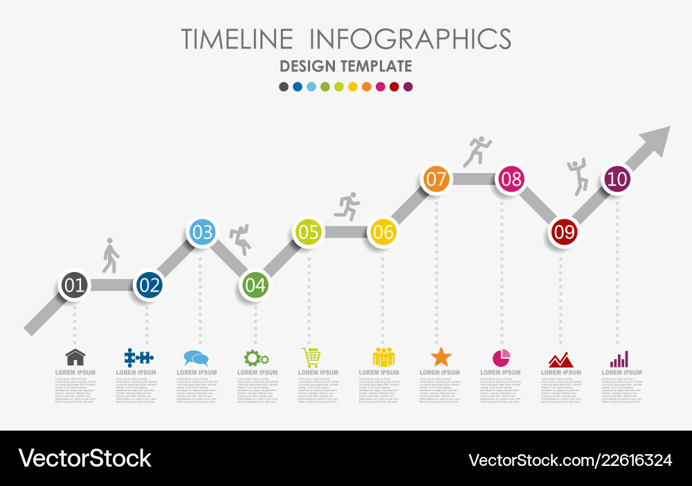 Infographic Template - Data Visualization vector image
