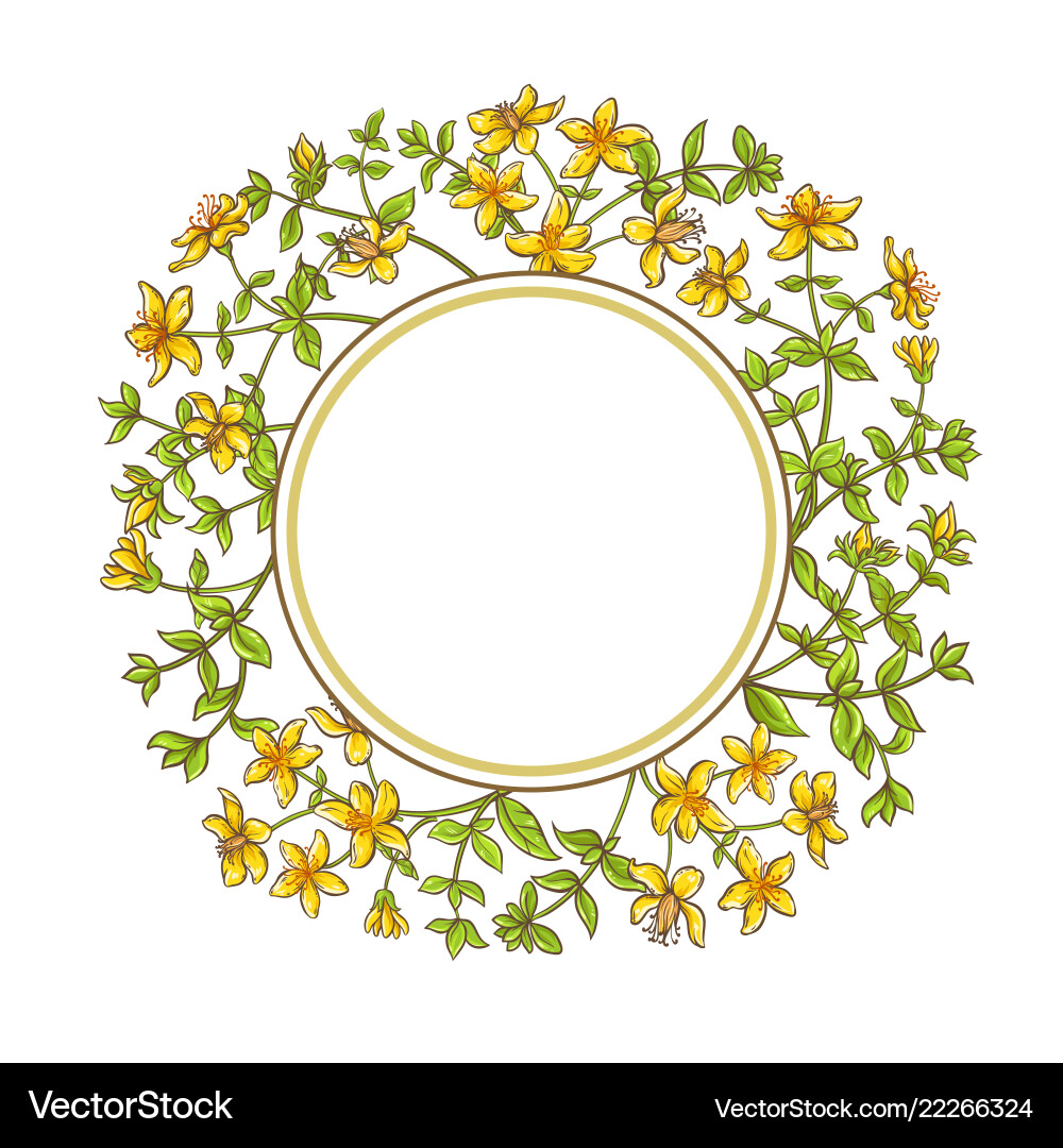 Tutsan branch frame Tutsan branch frame vector image