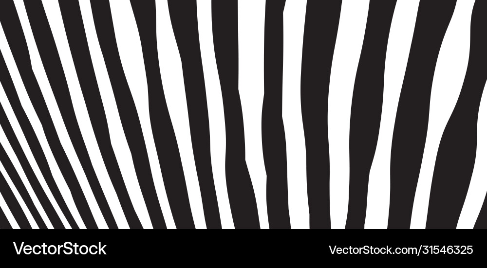 Wilde Zebra-Wellenmuster mit Schwarz und Weiß Wilde Zebra-Wellenmuster mit Schwarz und Weiß vektorbild