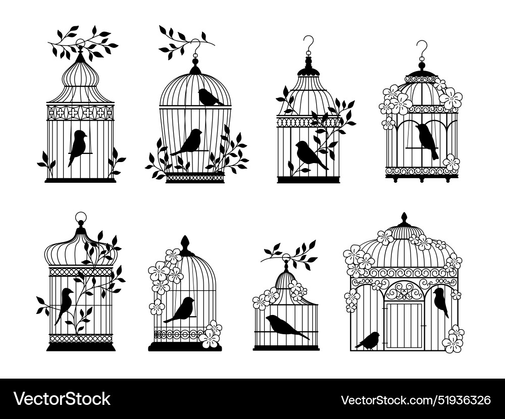 Vintage cages and decorative birds dark Vintage cages and decorative birds dark vector image