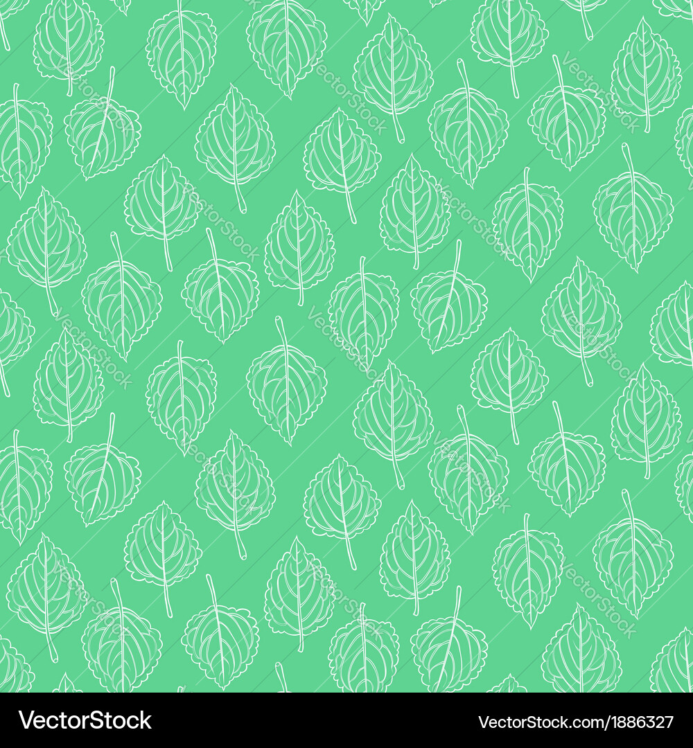 Elegant pattern with leafs drawn in thin lines Vector Image