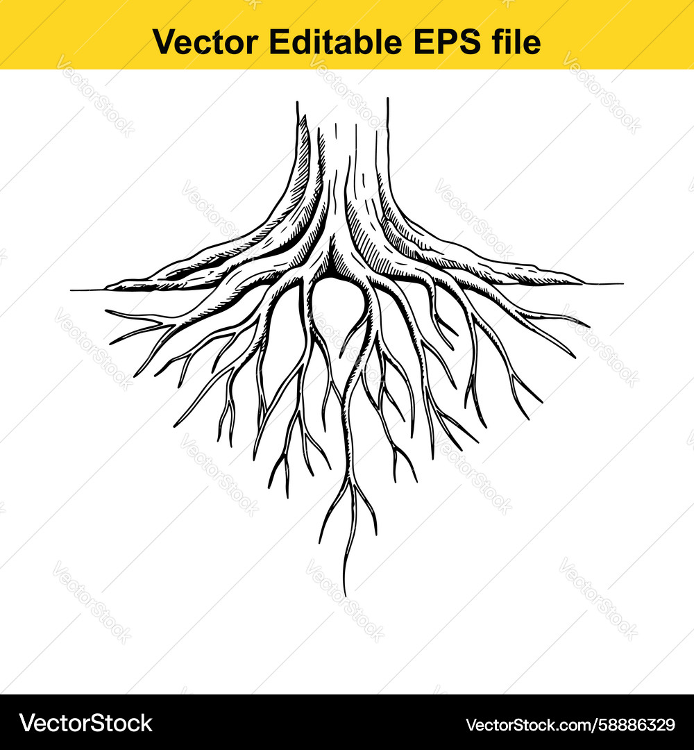 Intricate Tree Root System Vector Image