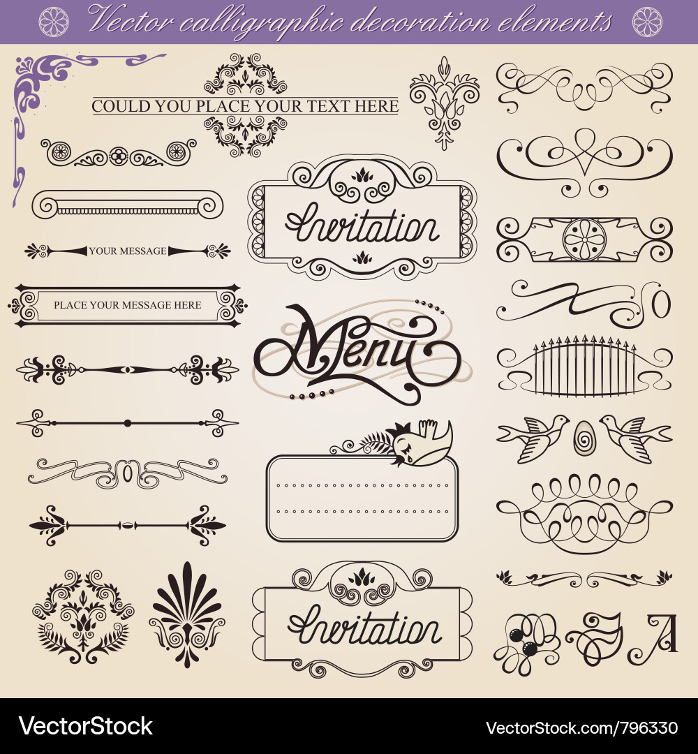 Calligraphic Ornament Set vector image