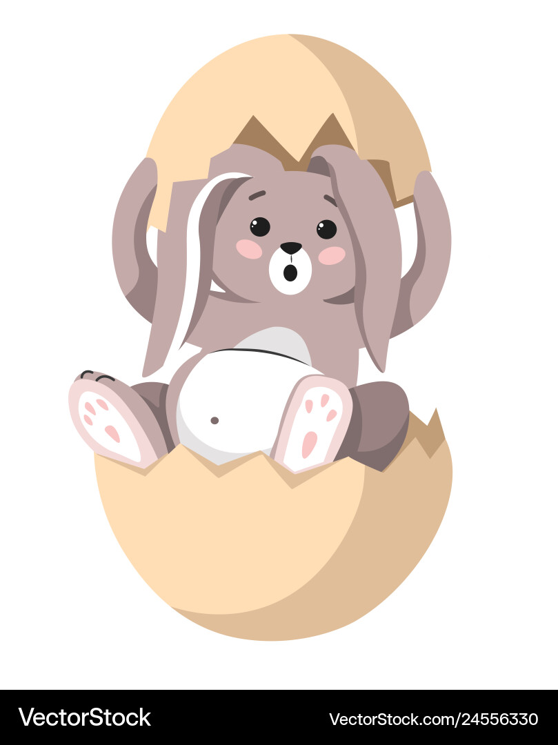 Easter bunny sitting in eggshell furry animal Easter bunny sitting in eggshell furry animal vector image