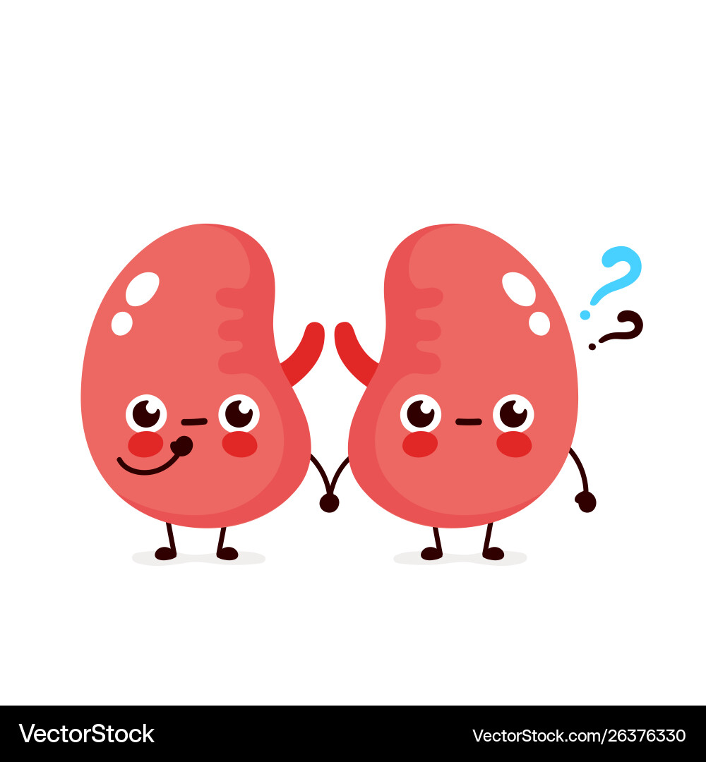 Smiling Kidneys with Question Mark vector image