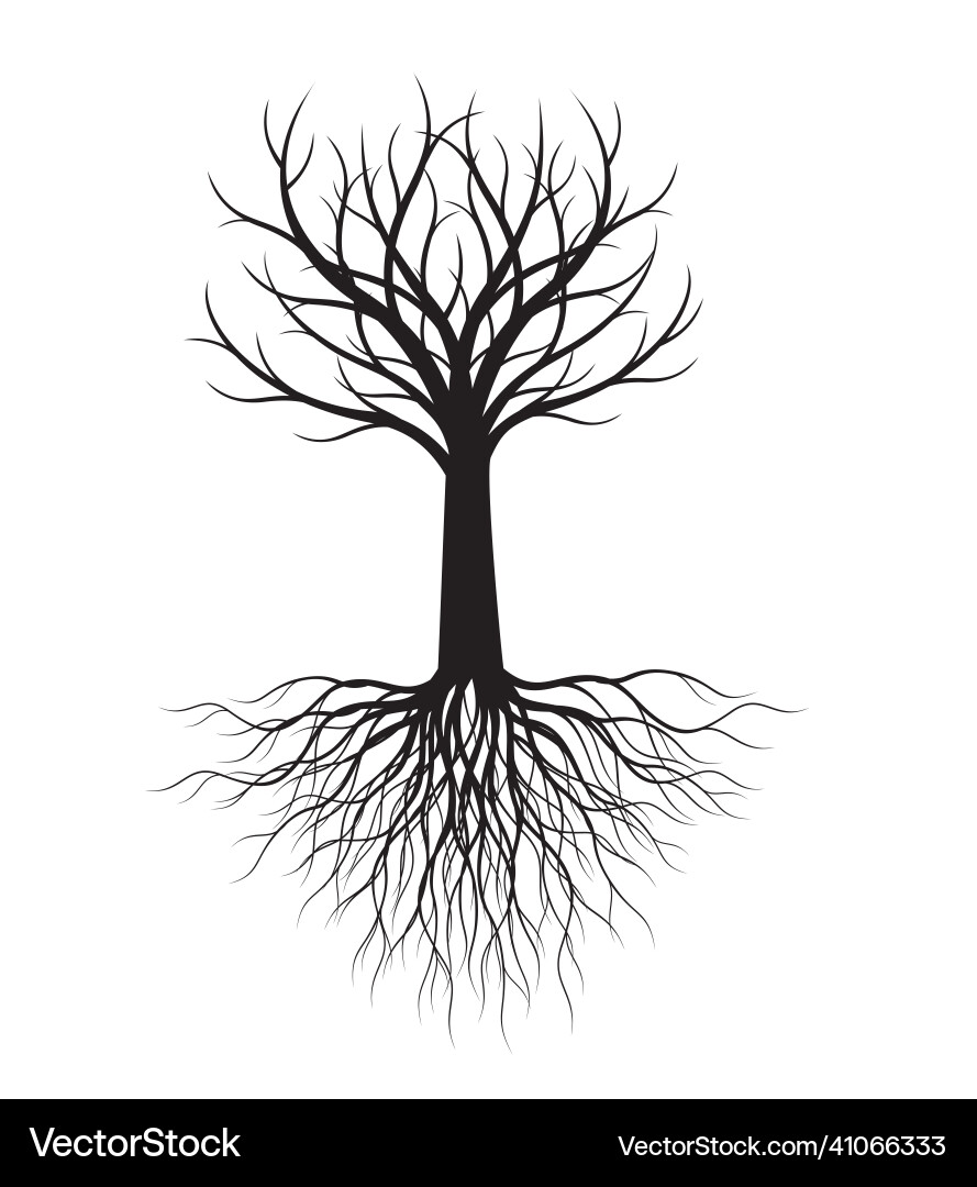 Shape of tree with roots outline Shape of tree with roots outline vector image