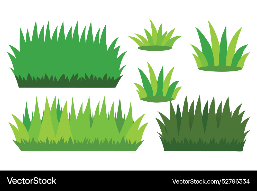 Green Grass Set on White vector image