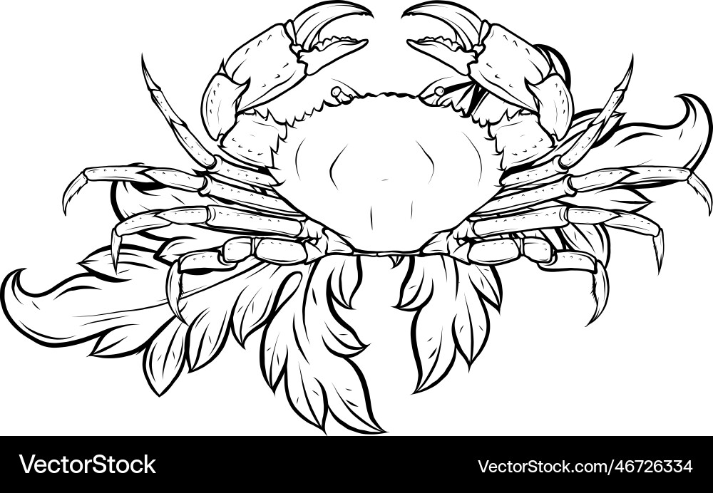 Monochrome crab with claws sketch in a linear vector image