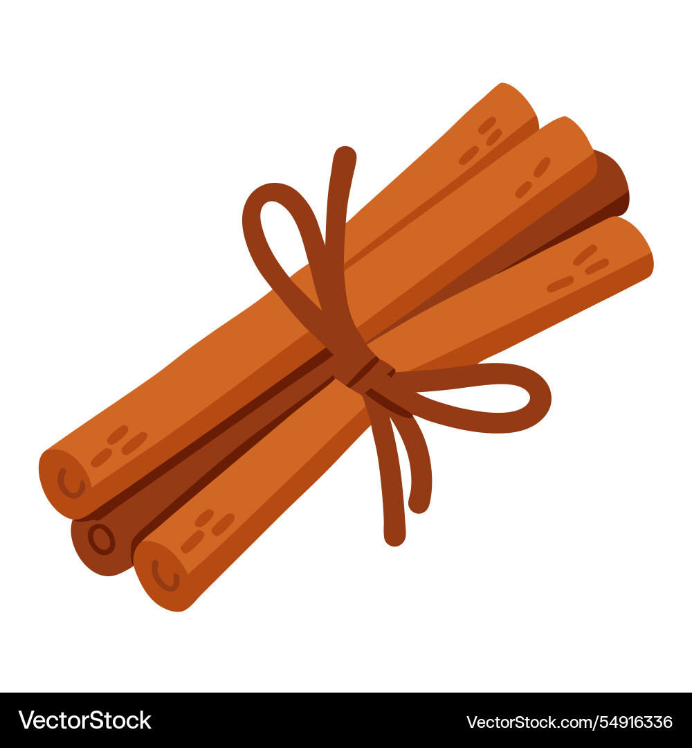 Cinnamon sticks tied with string Vector Image