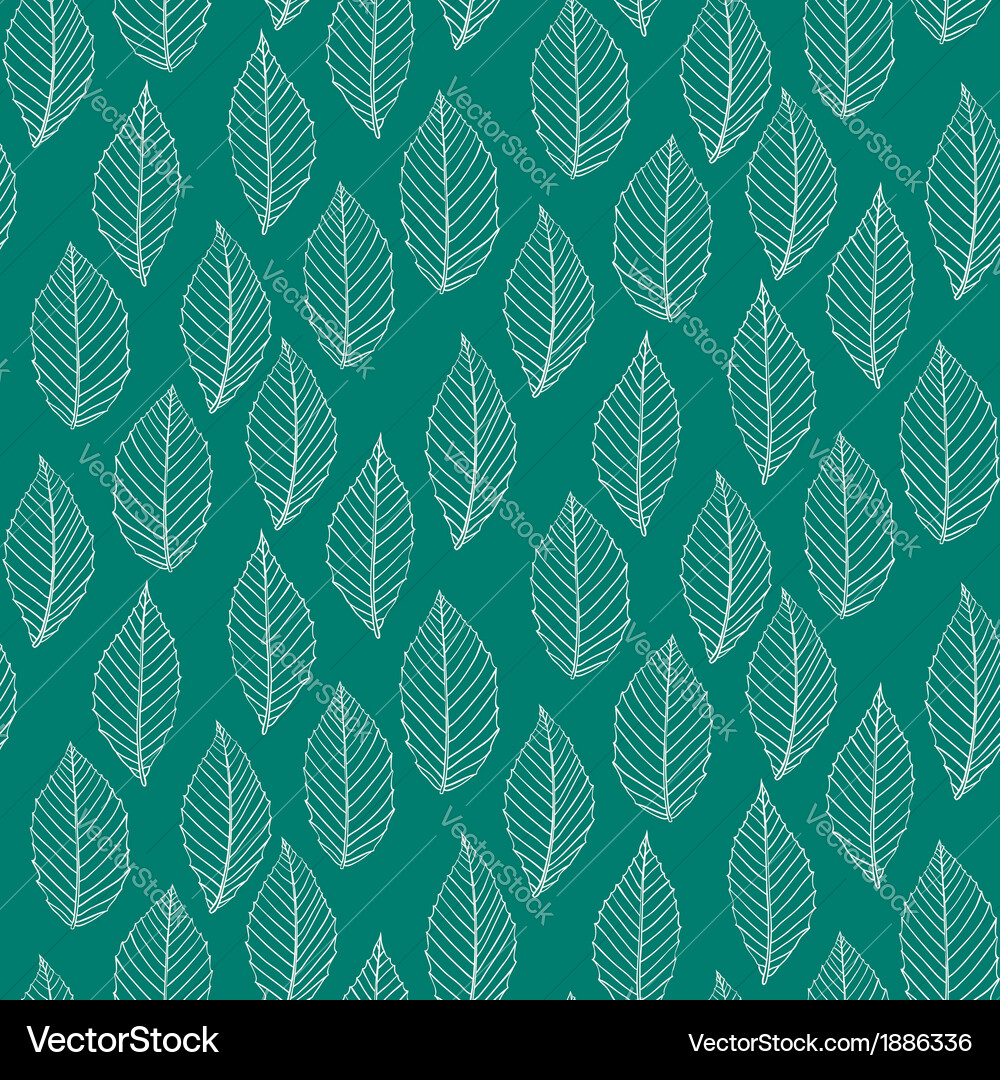 Elegant pattern with leafs drawn in thin lines Vector Image
