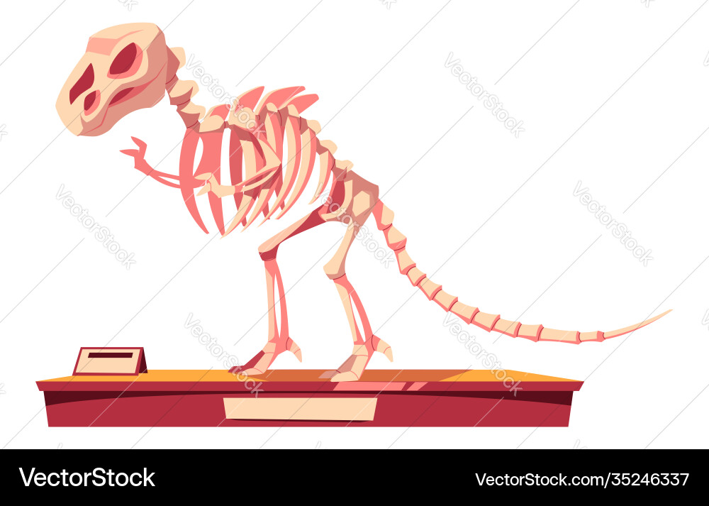 Fragment dinosaur skeleton fossilized bones Fragment dinosaur skeleton fossilized bones vector image