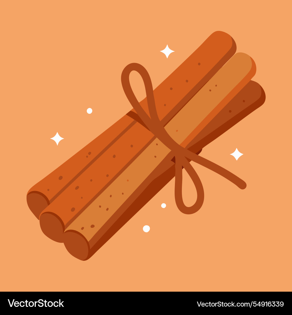 Cinnamon sticks tied with string Vector Image