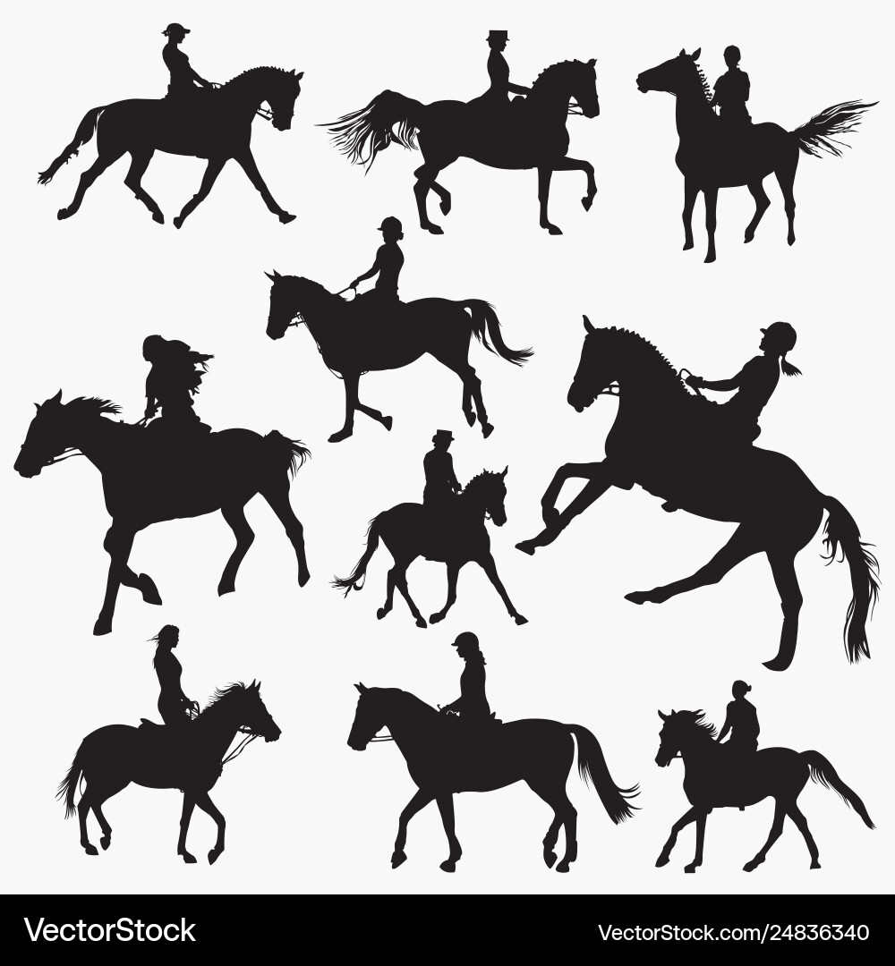 Riding horse silhouettes vector image