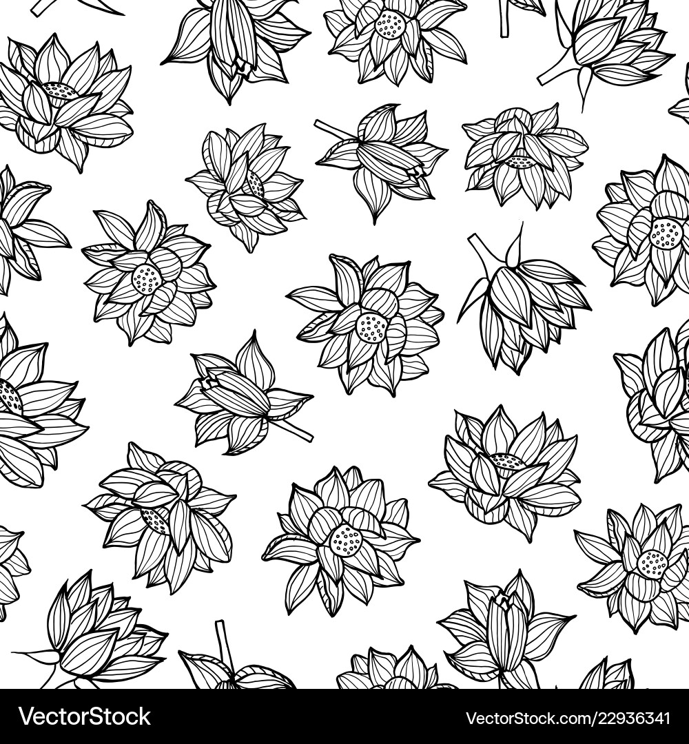 Elegant Waterlily Pattern Vector Image