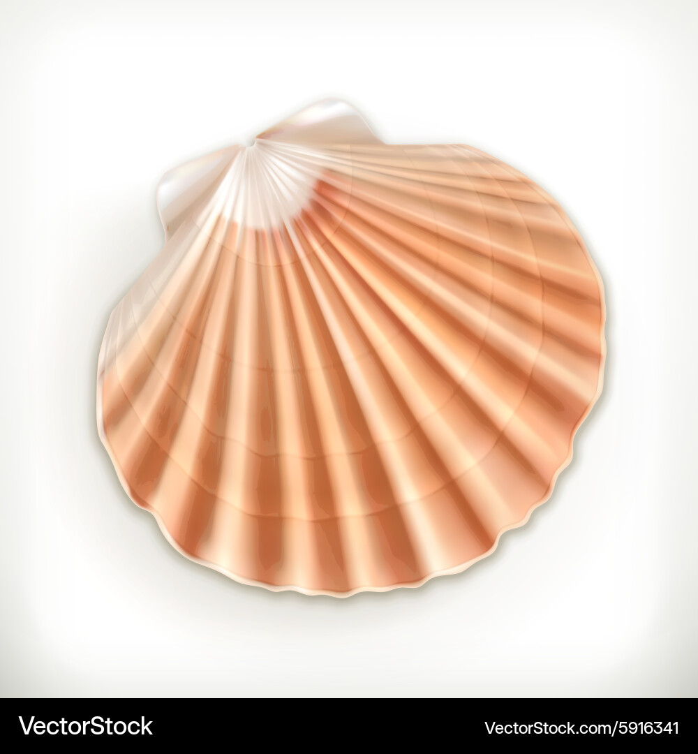 Isolated Seashell Icon vector image