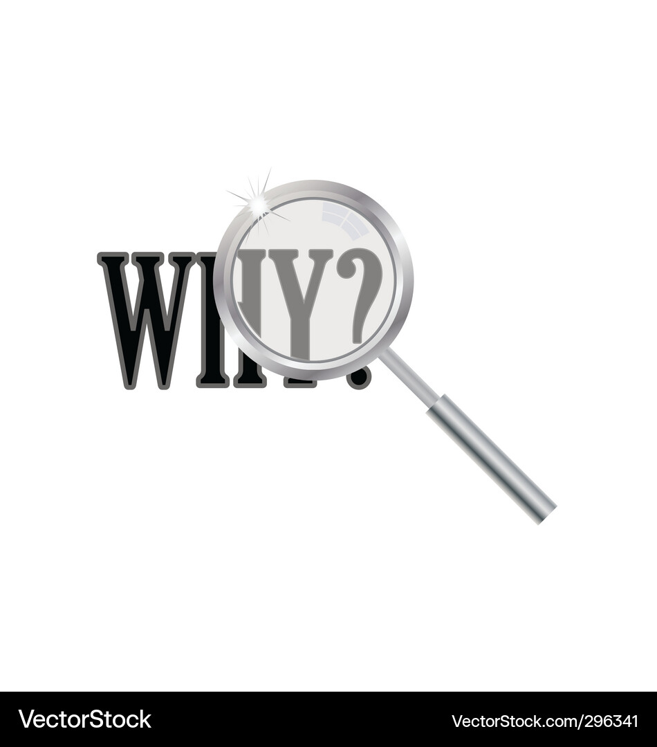 Magnifier with why question Vector Image