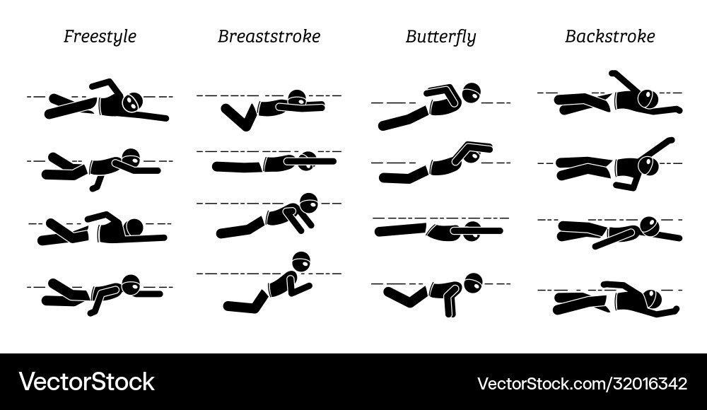 Swimming Styles - Step by Step Vector Image