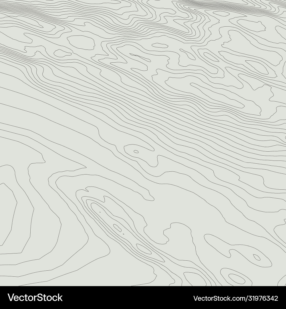 Topographic map background concept with space Topographic map background concept with space vector image