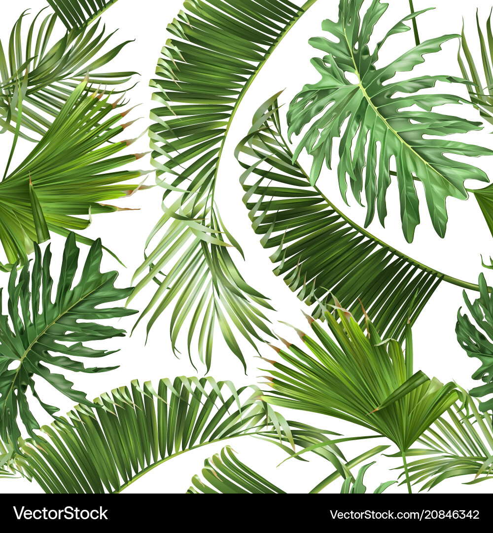 Tropical leaves pattern Tropical leaves pattern vector image