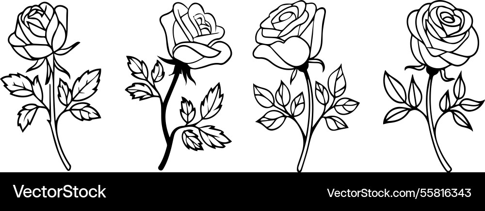 A set of rose flower doodles style image A set of rose flower doodles style image vector image