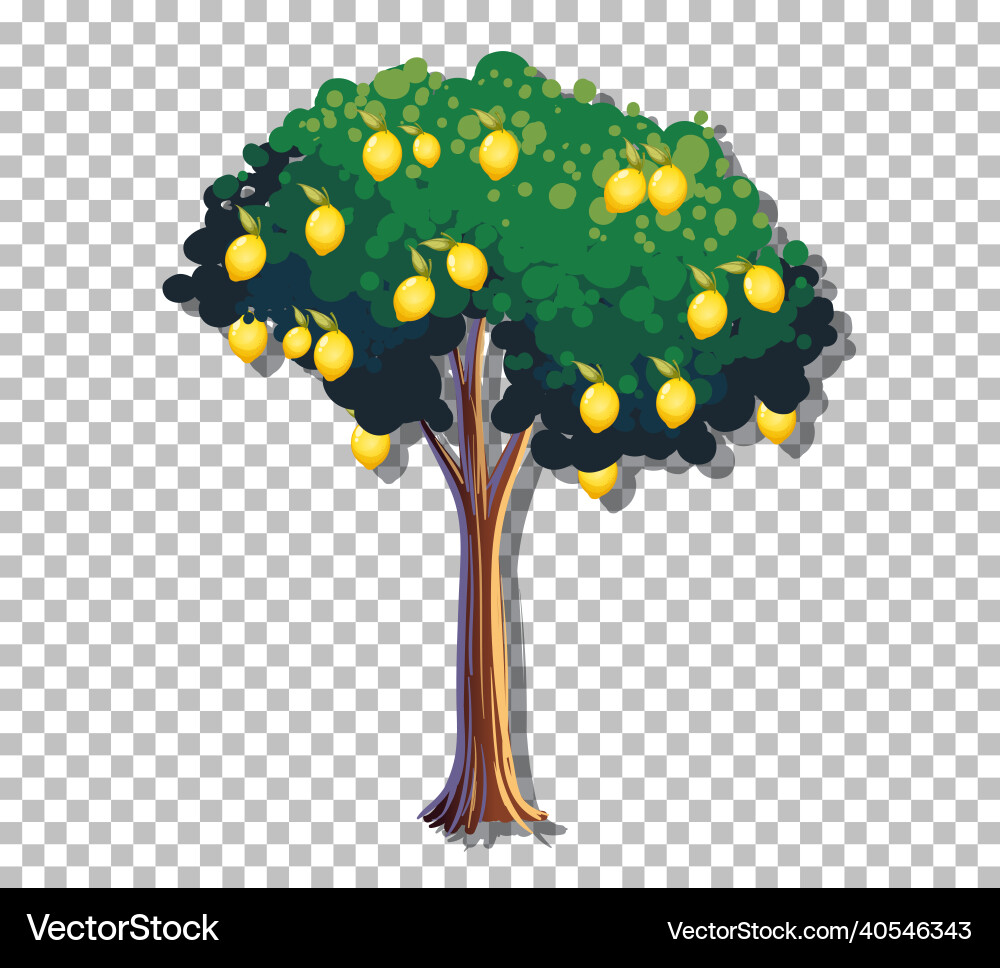 Lemon tree on transparent background Lemon tree on transparent background vector image