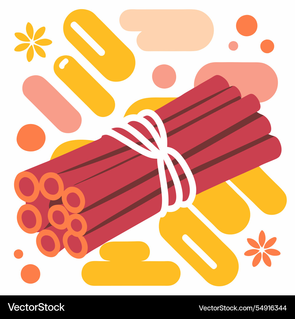 Cinnamon sticks tied with string Vector Image