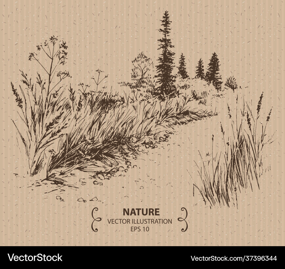 Nature landscape Royalty Free Vector Image - VectorStock