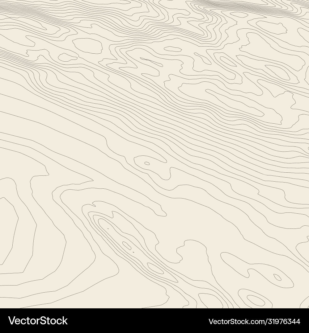 Topographic map background concept with space Topographic map background concept with space vector image