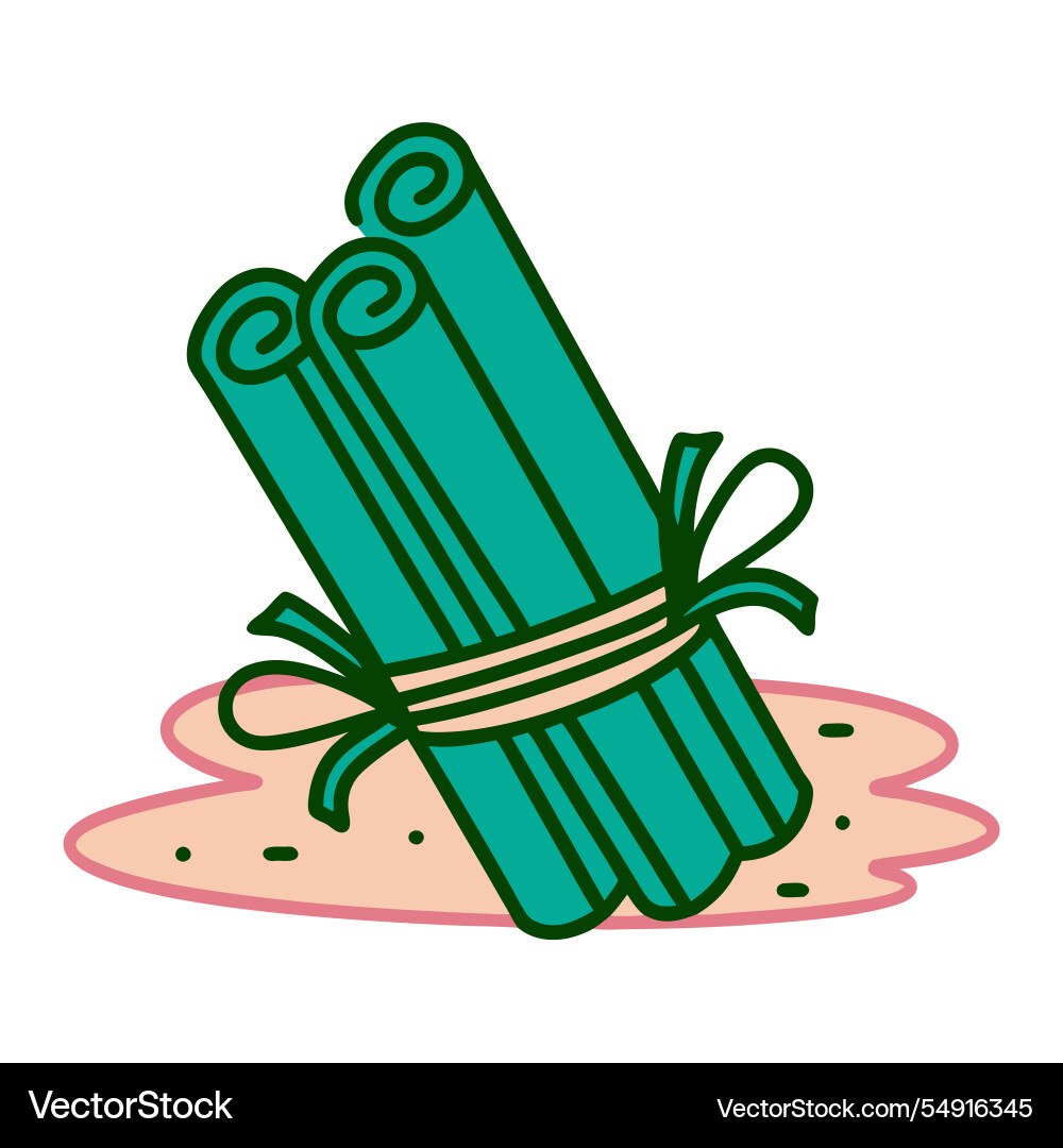 Cinnamon sticks tied with string Vector Image