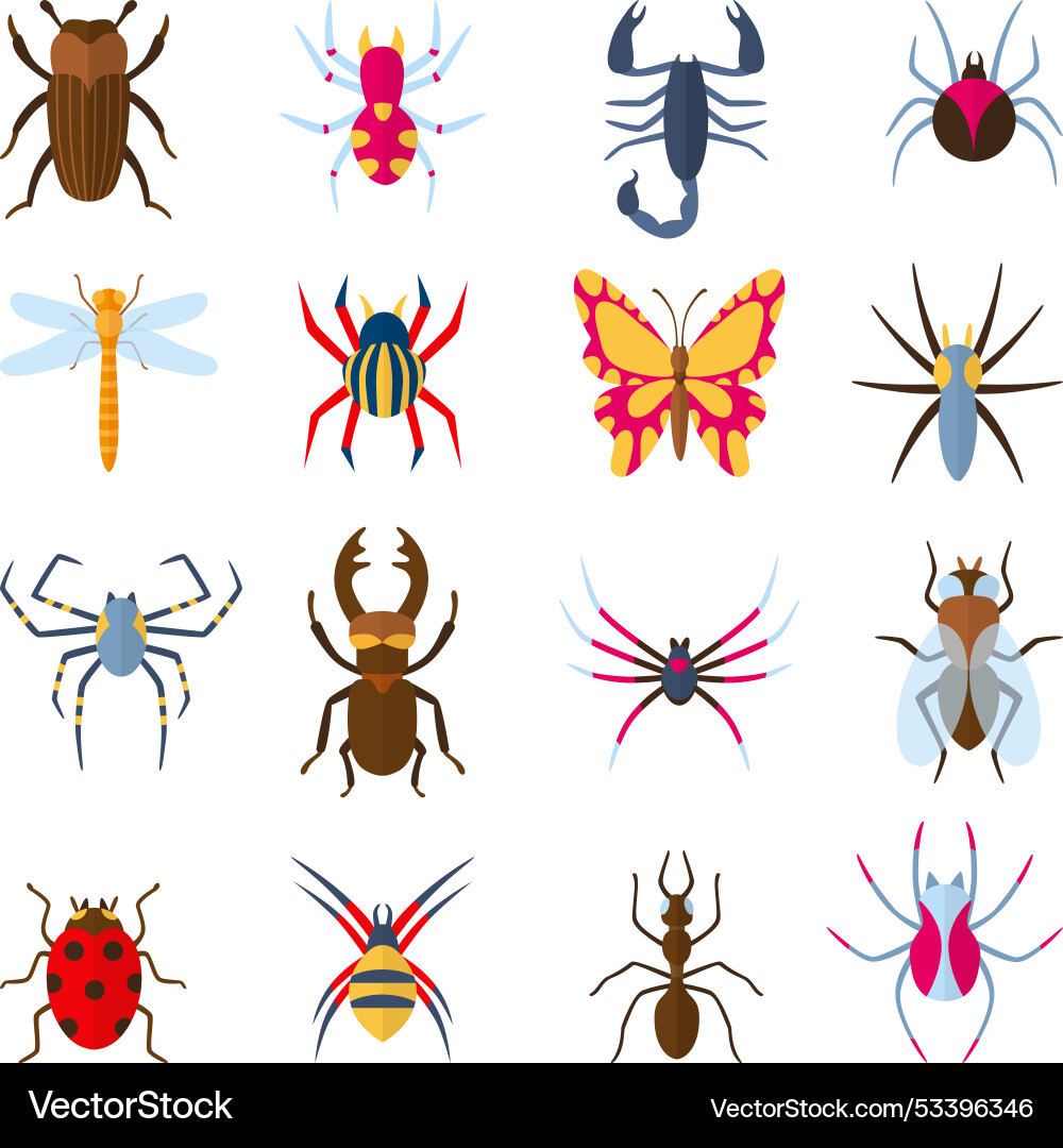 Flat insects spiders butterfly bugs fly dragonfly Vector Image