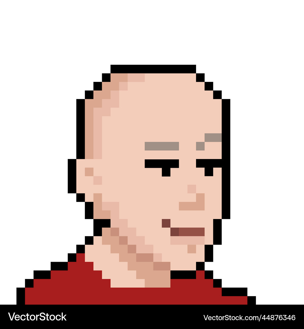 Monk with bald head in pixel style nft concept – Royalty-Free Vector |  VectorStock