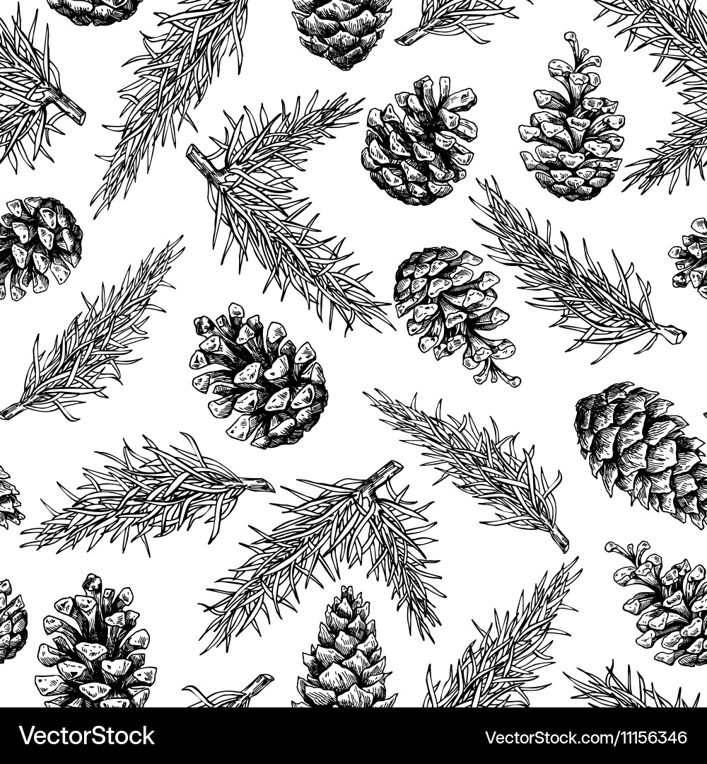 Pine Cone & Fir Tree Seamless Pattern vector image