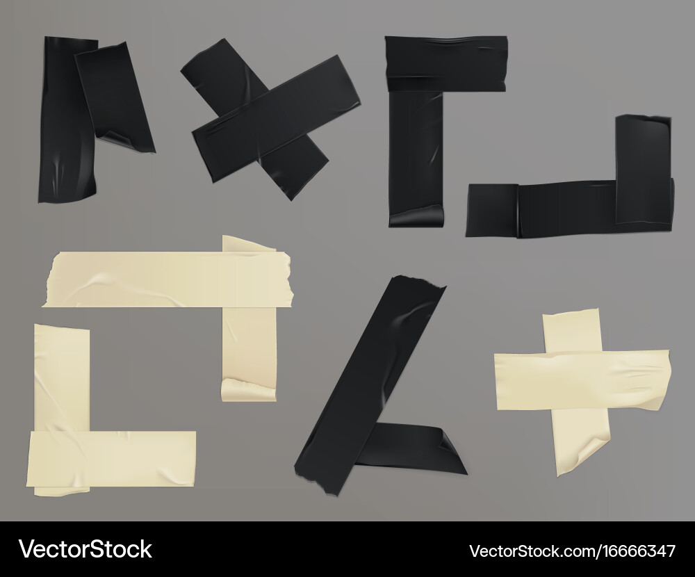 Set of different slices vector image