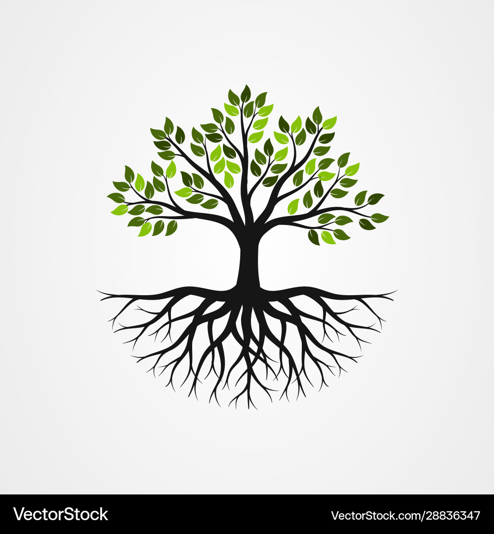 Tree Roots Symbol vector image