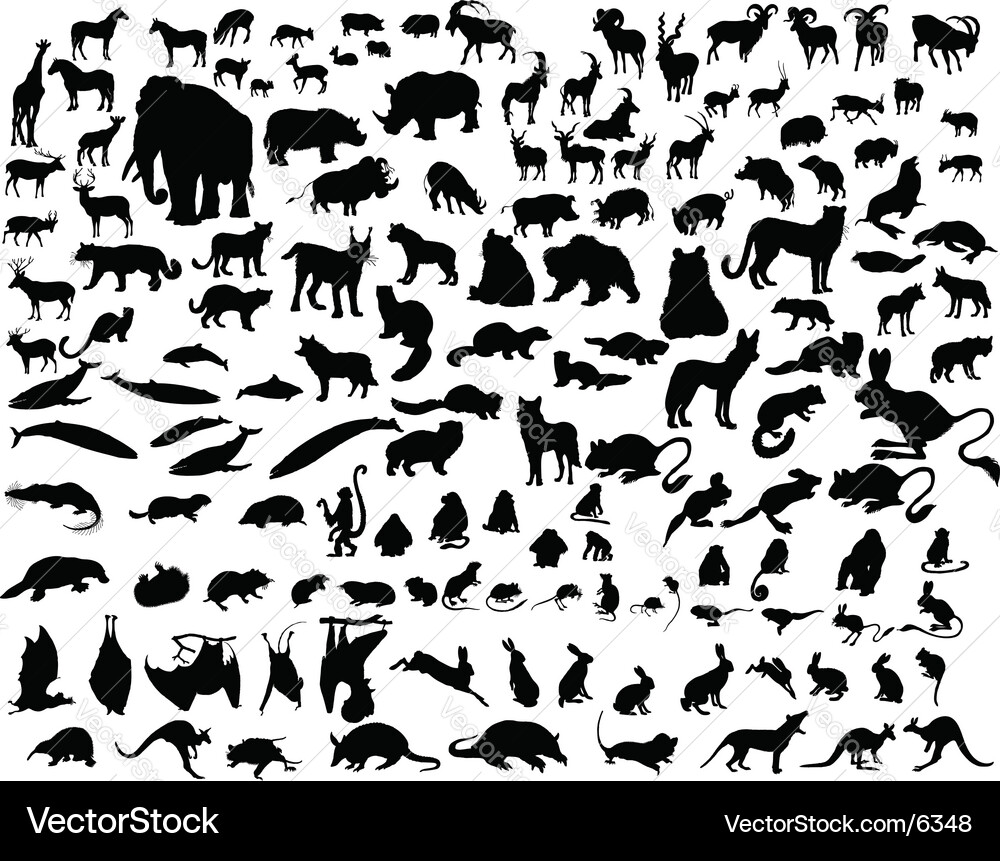 Animal Silhouettes vector image