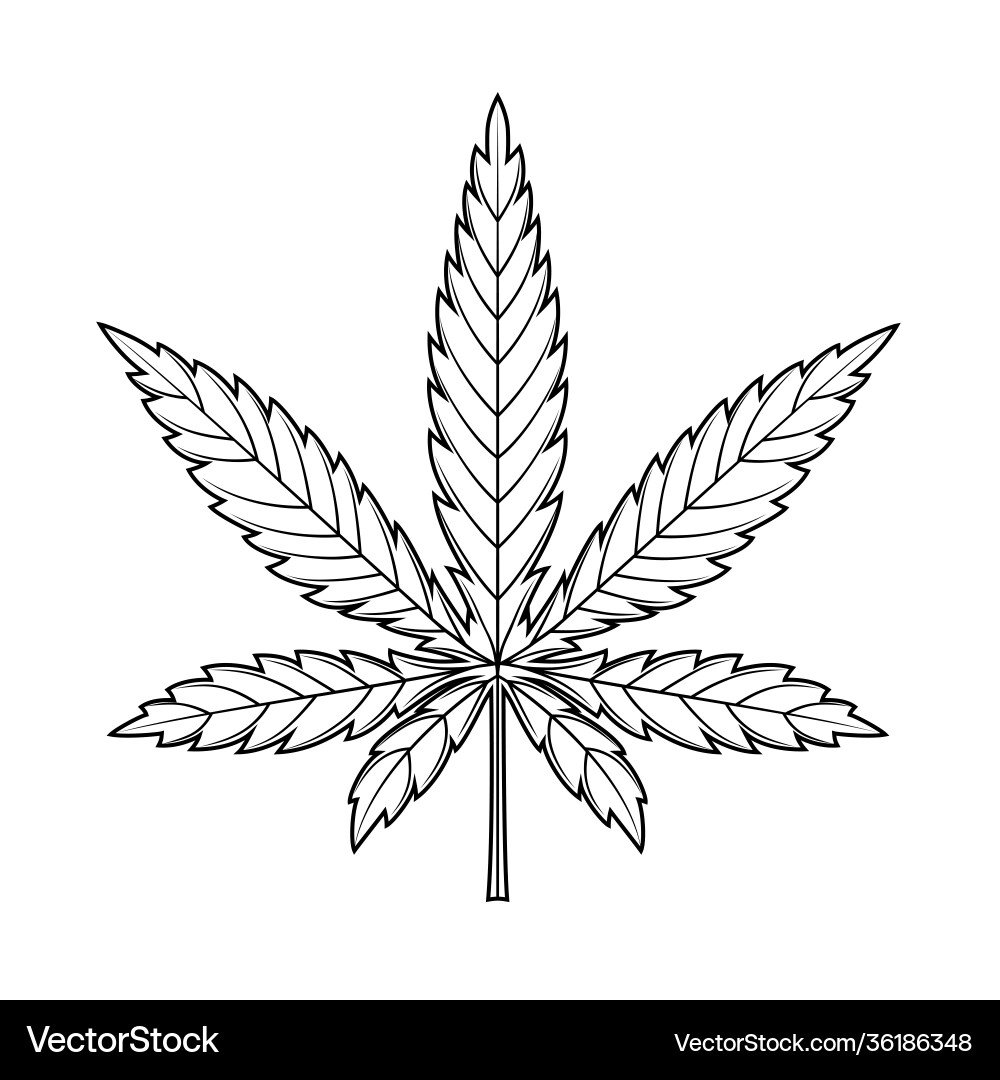 Cannabis Leaf Icon Vector Image