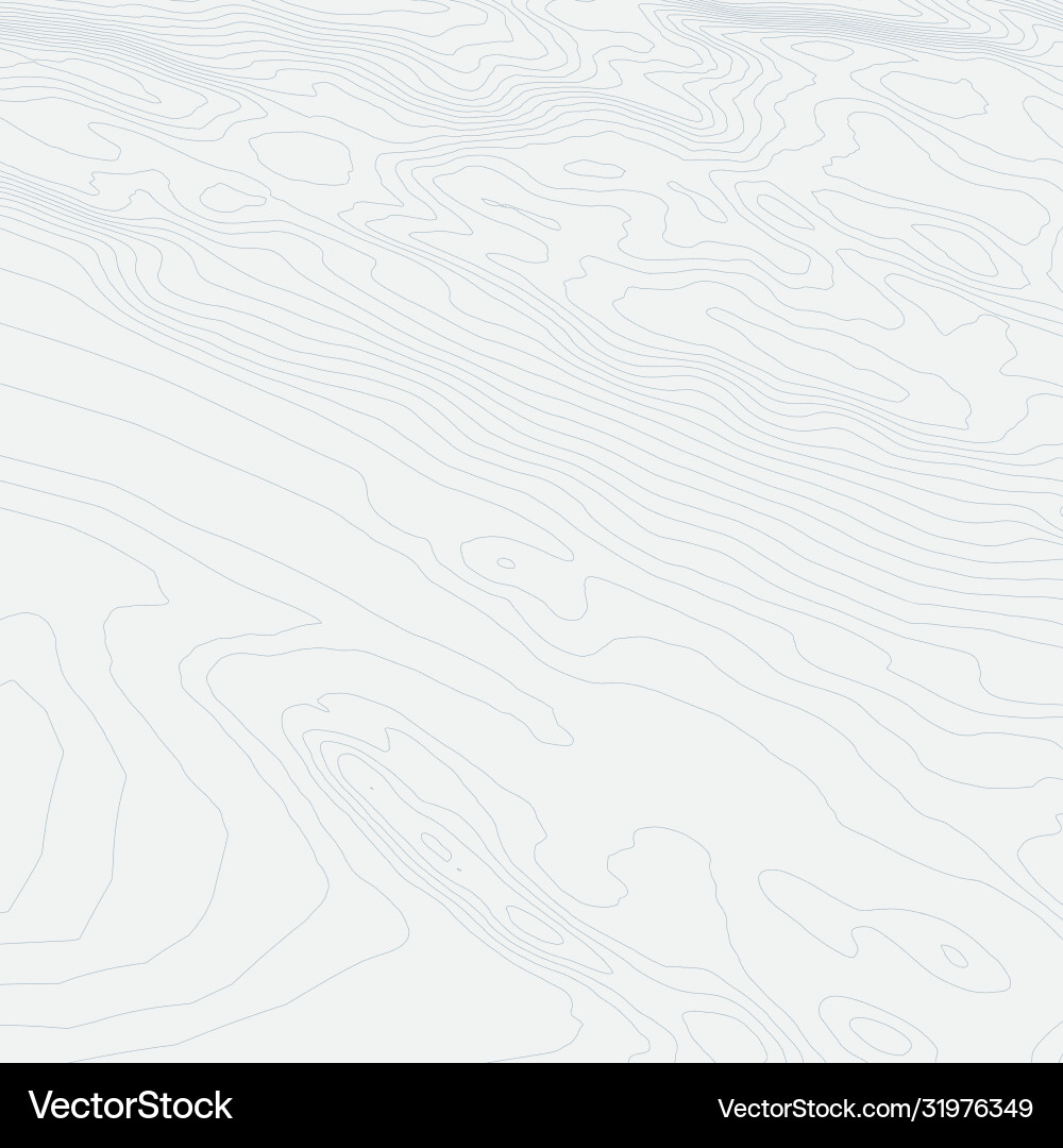 Topographic map background concept with space Topographic map background concept with space vector image