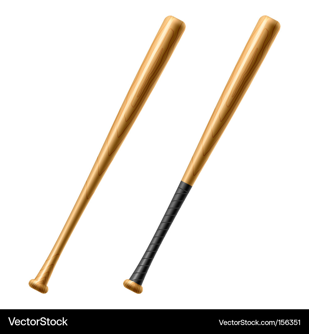 Baseball Bat vector image