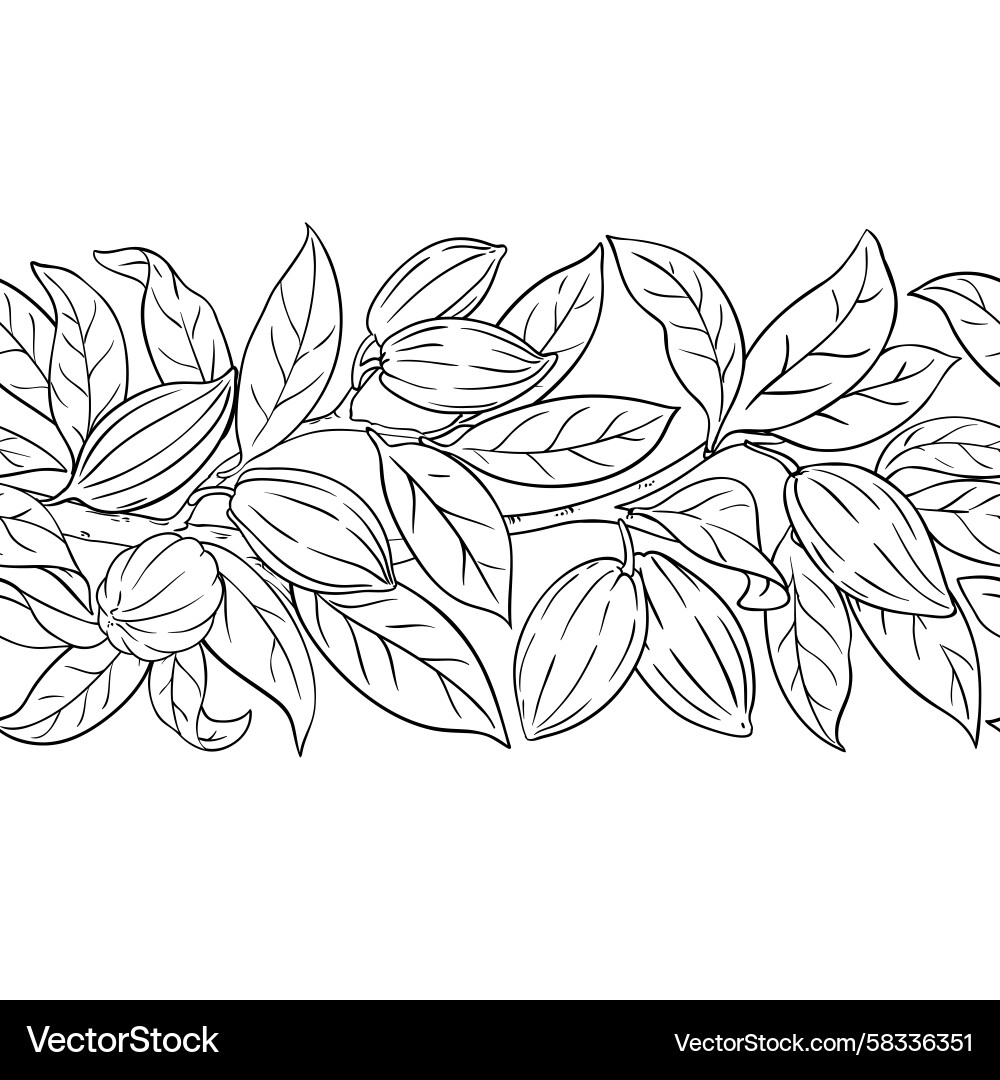 Cocoa Branch Outline - Seamless Pattern Vector Image