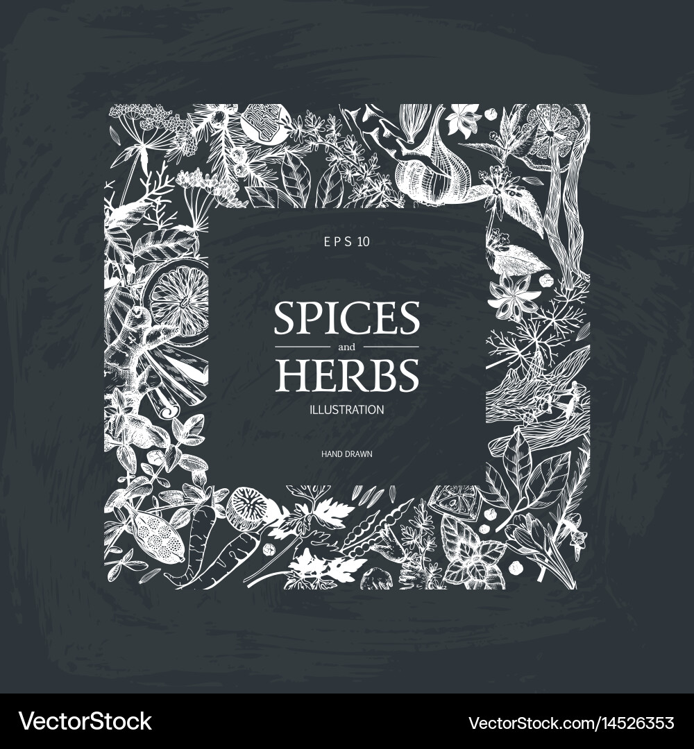 Herbal Frame with Botanical Flowers Vector Image