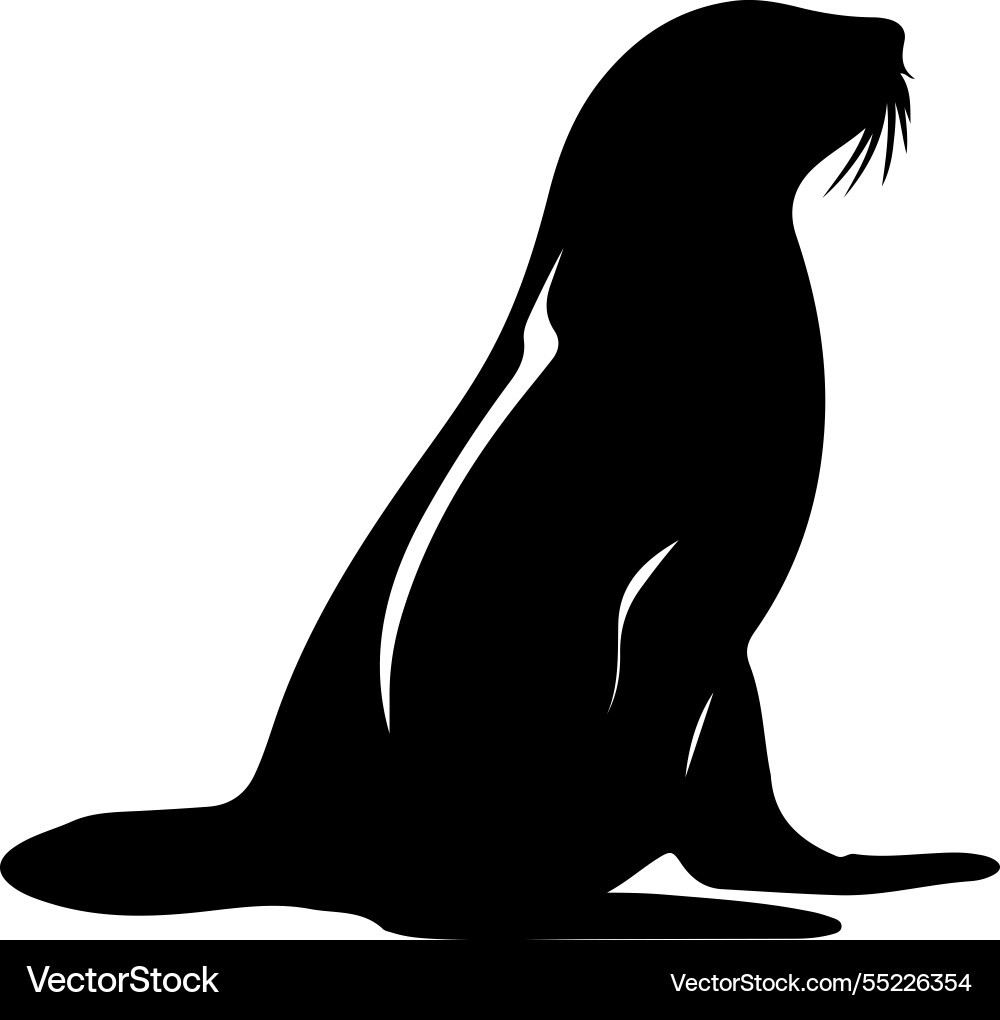 California sea lion silhouette California sea lion silhouette vector image