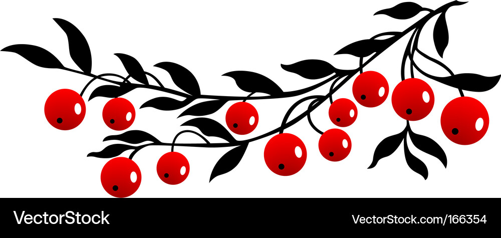 Red Cranberries on Branch Vector Image