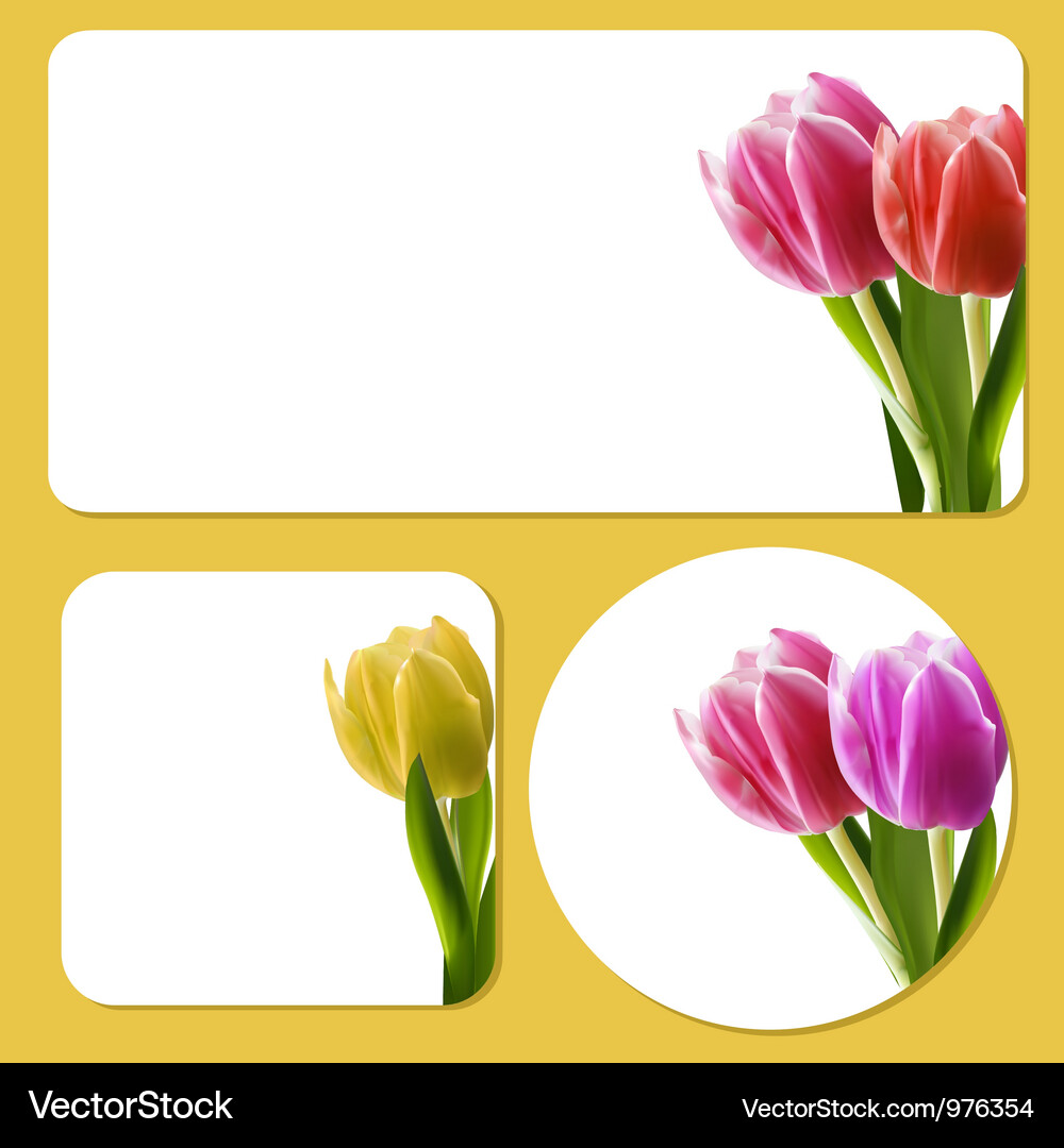 Tulip background templates Vector Image