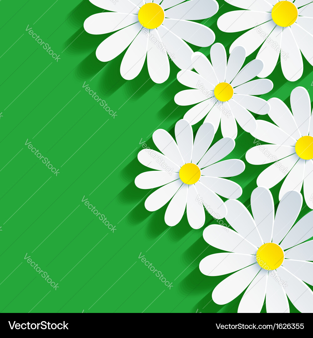 3d flower chamomile spring background abstract vector image