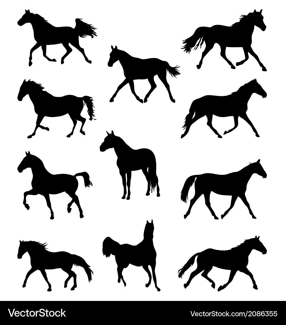 Horse Silhouettes - Black Set Vector Image