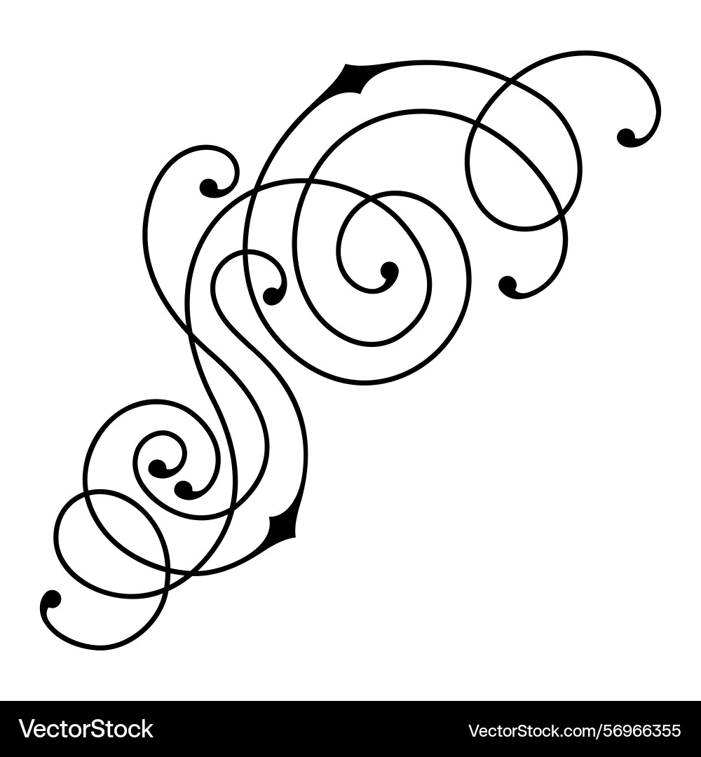 Line curl element modern decorative linear Line curl element modern decorative linear vector image
