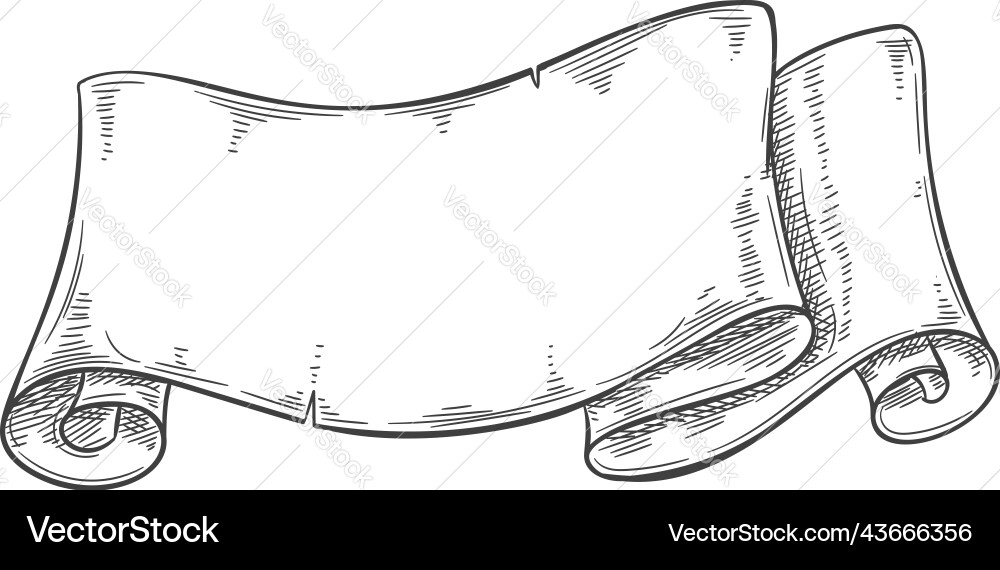 Paper scroll isolated old parchment manuscript Vector Image