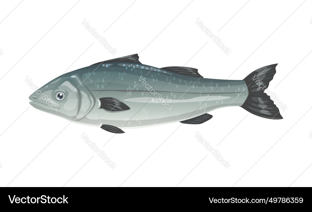 Cartoon fish for seafood cuisine restaurant food vector image