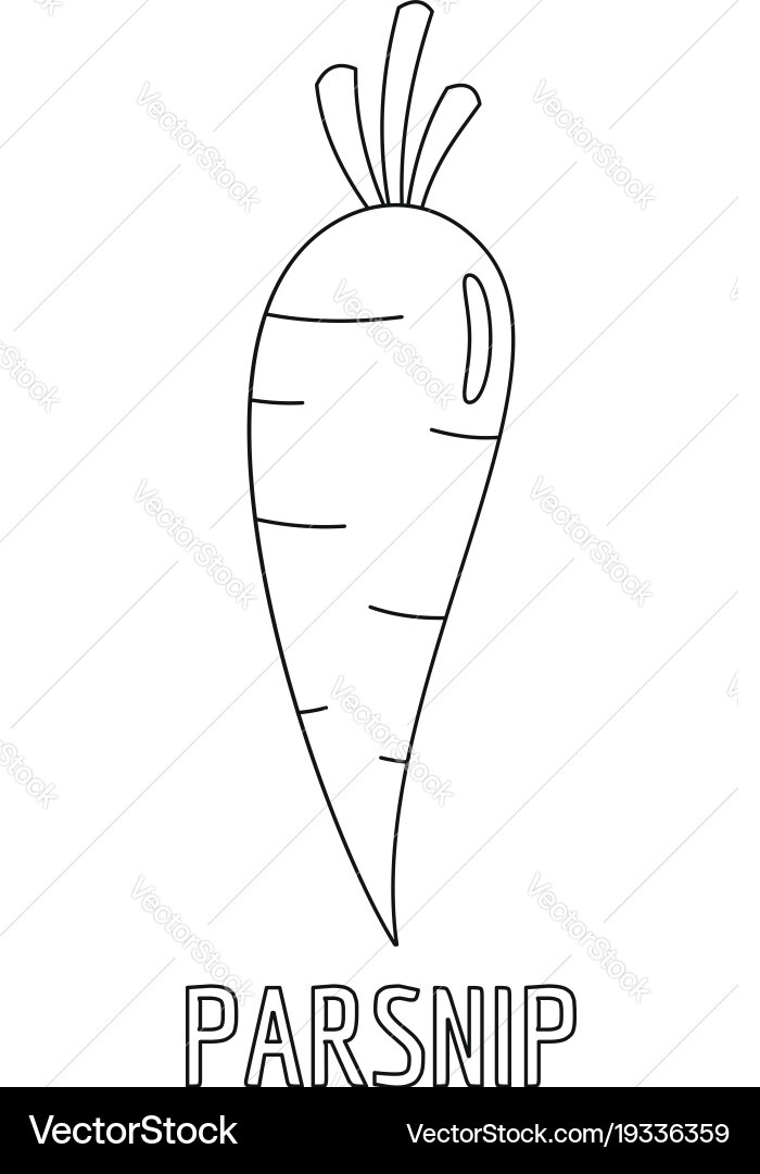 Parsnip icon outline style Vector Image